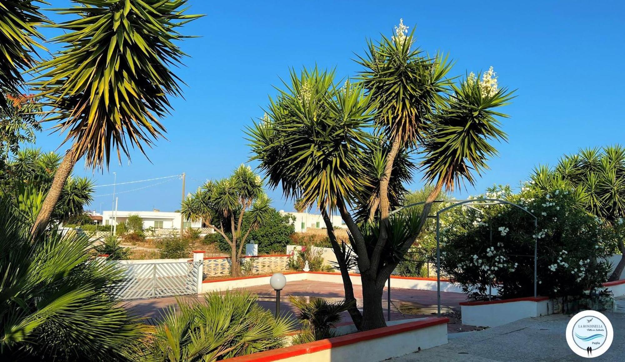 Villa La Rondinella - Torre San Giovanni エクステリア 写真