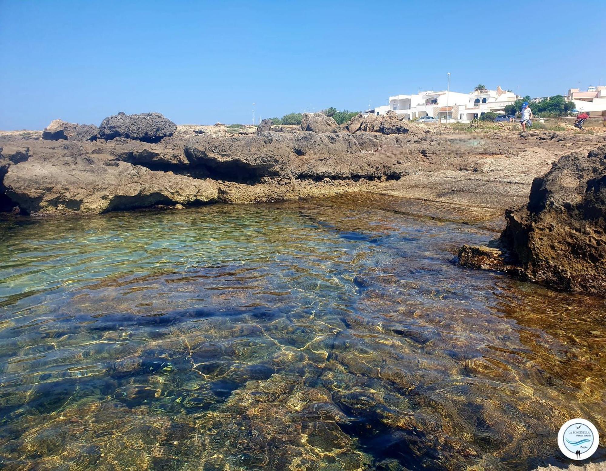 Villa La Rondinella - Torre San Giovanni エクステリア 写真