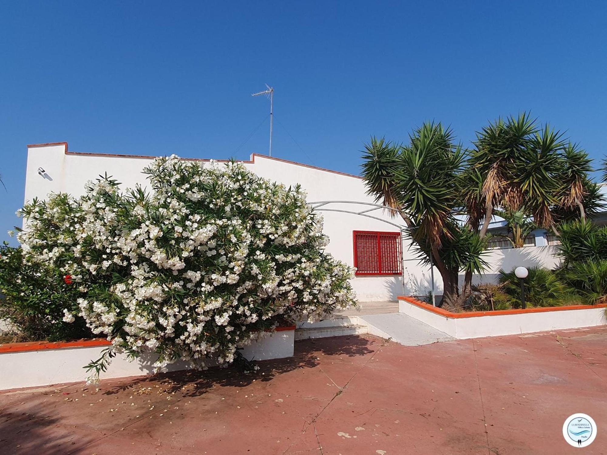 Villa La Rondinella - Torre San Giovanni エクステリア 写真